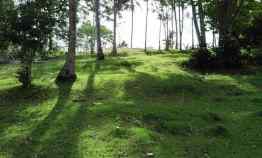 Tanah Dijual di Bonian Selemadeg Tabanan Bali