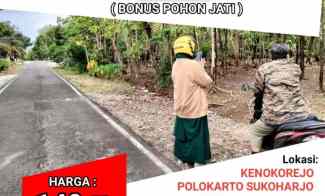 Tanah Bonus Jati di Sukoharjo