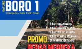 Tanah Dijual di Boro 1, Karangsewu, Galur, Kulonprogo, DIY.
