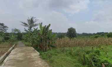 Tanah Bubakan Mijen Semarang