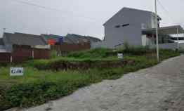 Tanah Dijual di candi kalasan