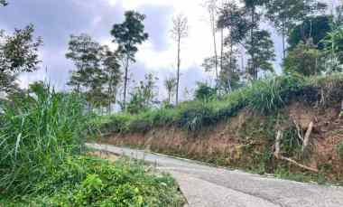 Tanah Cantik 7000m Utara Candi Cetho Karanganyar, Solo