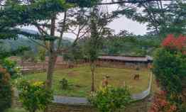 Tanah Kavling Siap Bangun di Kawasan Agrowisata Farm Land Ciampea Bogo