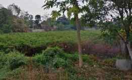 Dijual Cepat Tanah Strategis di Ciater Serpong SHM