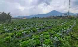 Tanah Komersial di Lembang Bandung