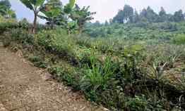 Tanah Dijual di Cijeruk bogor