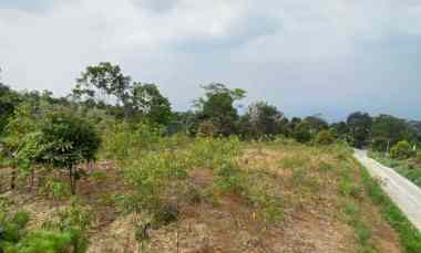 Tanah Cijeruk dekat Kopi Nego