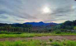 Tanah Kavling Bumi Citeko Puncak Bogor