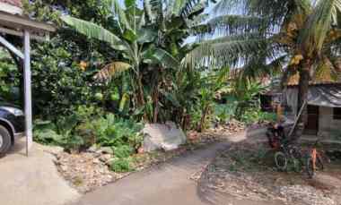 Tanah Cisauk Strategis Nempel Masjid BSD