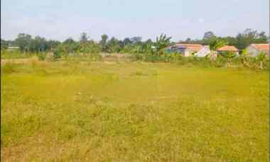 Tanah Citeureup Bogor 1 Ha