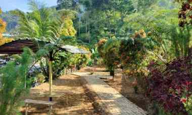 Tanah Cocok Dibangun Wisata Kemuning, Karanganyar Solo