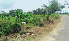 Tanah Cocok untuk Usaha Mojogedang Karanganyar