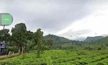 Tanah Daerah Ciater, View Perkebunan Teh,subang