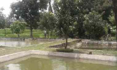 Tanah Dijual di Dukupuntang cirebon jabar