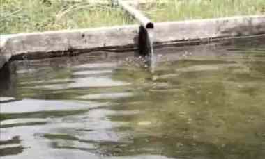 Tanah dan Sumber Mata Air Panas, Subang