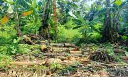 Tanah Darat Strategis di jl Raya Jalen Tambun Bekasi