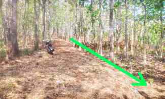 Tanah Datar 1615m hanya 250Jt Boyolali