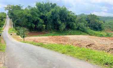 tanah datar 1685m 325jt mojogedang karanganyar