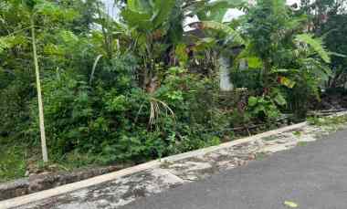 Tanah Dijual di Kedawung, Sragen