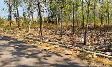 Tanah Dijual di Kerjo, Karanganyar