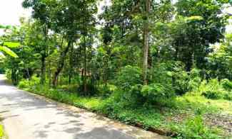 Tanah Datar 2600m2 Siap Dibangun Kerjo Karanganyar