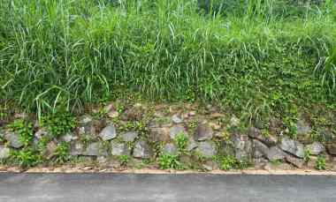 Tanah Datar 283m Udara Dingin Kemuning Karanganyar