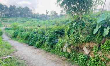 Tanah Dijual di Timur Pasar Karangpandan, Karanganyar, Solo, Jawa Tengah 3436
