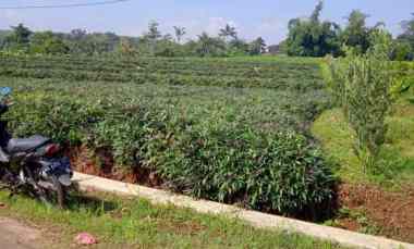 Tanah Datar 8142m Utara Kantor Kecamatan Kerjo