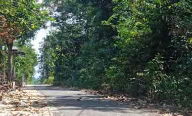 Tanah Dijual di Kebakkramat, Karanganyar, Solo, Jawa Tengah