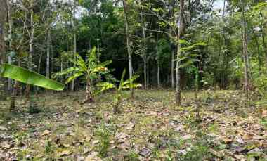 Tanah Datar 959m 225 juta Mojogedang Karanganyar