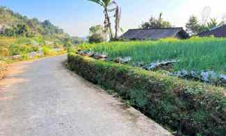 Tanah Datar Kemuning Ngargoyoso Karanganyar