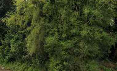 Tanah dekat Alun-alun dan Jatiwangi Square Majalengka