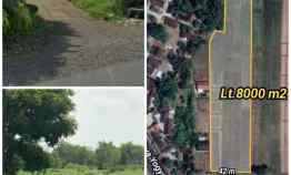 Dijual Lahan Pemukiman 8000m2 Muka 42m Zona Kuning Ceper Klaten