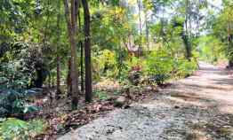 Tanah dekat Sungai Sawah Mojogedang Karanganyar