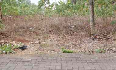 Tanah dekat Undip Mulawarman Tembalang