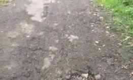 Tanah Murah di Harjamukti Cirebon