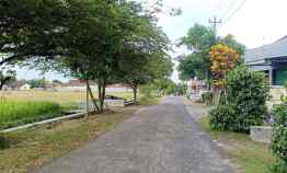 Tanah 1337m hanya 200 juta Sragen