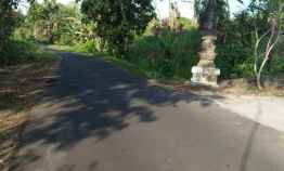 Tanah Sawah Sudah Aspek Perumahan di Selemadeg Tabanan Bali