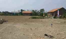 Tanah Murah dekat Jalan Pantura Kaliwungu Kendal