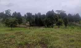 Tanah Dijual di desa pasir angin , kel gn. geulis kec. sukaraja, kab. bogor