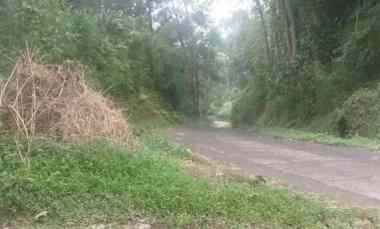 Tanah Desa Peron Limbangan Kendal