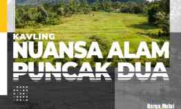 Kavling Viral Nuansa Alam Puncak Dua