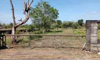 Tanah di Balangan Bali hanya 900 meter dari Pantai