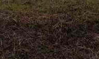 Tanah di Boulevard Araya Surabaya Lokasi Langka