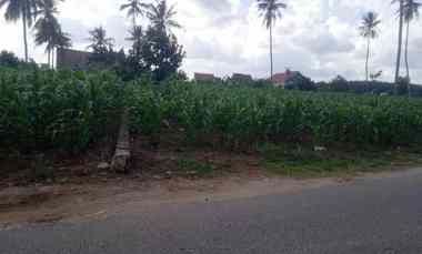 Tanah Dijual di Jatisari, Jati Agung Lampung Selatan