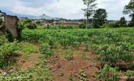 Tanah di Hajimena, Natar Luas 5000m Surat SHM