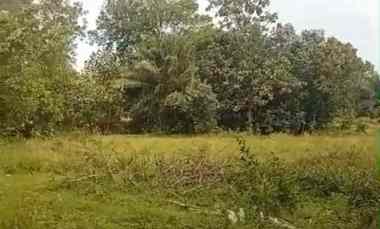 Tanah Dijual di Jati Agung, Lampung Selatan