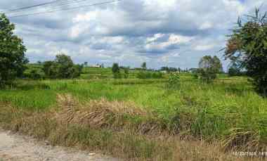 Tanah Dijual di Jatimulyo, Lampung Selatab