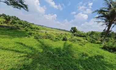 Tanah di jl. Raya Dago, Kebasiran, Kec. Parung, Kab. Bogor