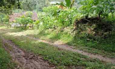 Tanah di Kedaung, Kemiling Luas 300m SHM 100 juta